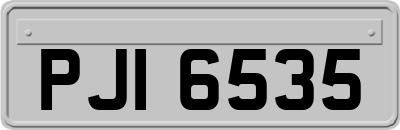 PJI6535