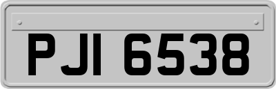 PJI6538