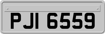 PJI6559