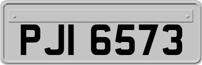 PJI6573