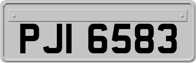 PJI6583
