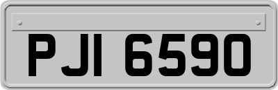 PJI6590