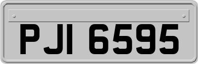 PJI6595