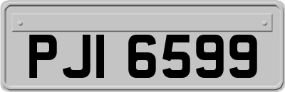 PJI6599