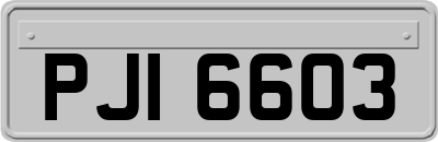 PJI6603