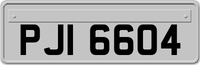 PJI6604