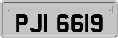 PJI6619