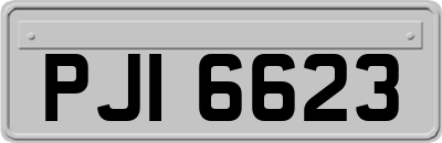 PJI6623