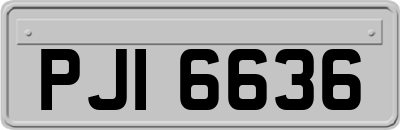 PJI6636
