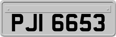 PJI6653