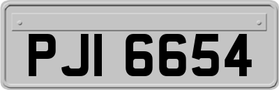 PJI6654