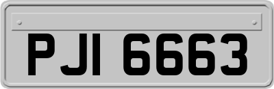PJI6663