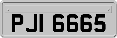PJI6665