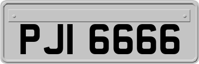 PJI6666