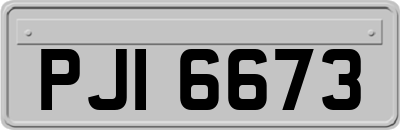 PJI6673