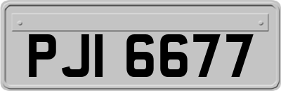 PJI6677