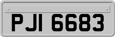 PJI6683