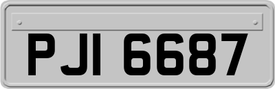 PJI6687