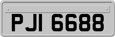 PJI6688