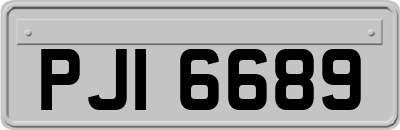 PJI6689