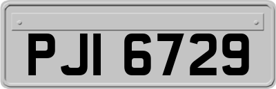PJI6729