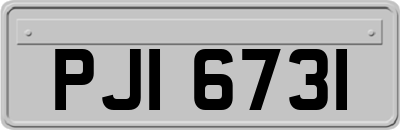 PJI6731