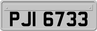 PJI6733