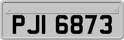 PJI6873