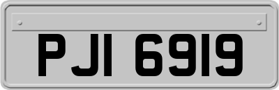 PJI6919