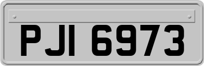 PJI6973