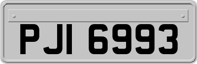 PJI6993