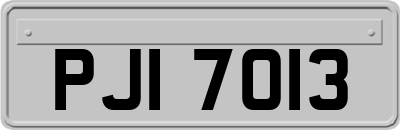 PJI7013