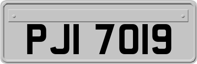 PJI7019