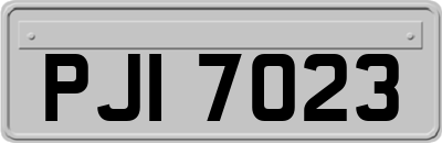 PJI7023