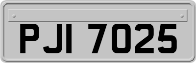 PJI7025