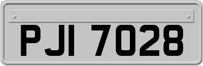 PJI7028