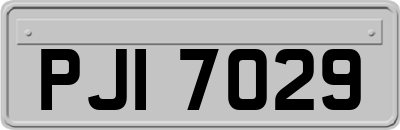 PJI7029