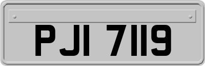 PJI7119