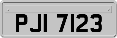 PJI7123