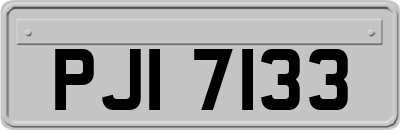 PJI7133