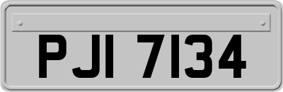 PJI7134