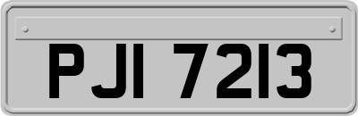 PJI7213