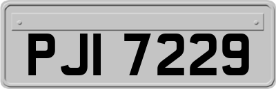 PJI7229
