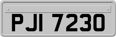 PJI7230