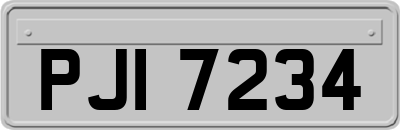 PJI7234