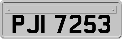 PJI7253
