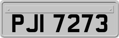 PJI7273