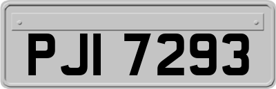 PJI7293
