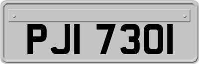 PJI7301