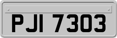 PJI7303